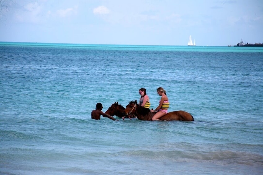 Antigua Horseback Beach Experience