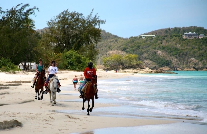 Antigua Horseback Beach Experience