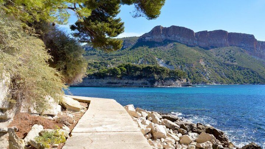 Food, Art, Wine & Sea tour!