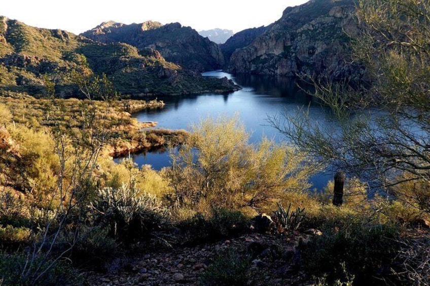 Saguaro Lake