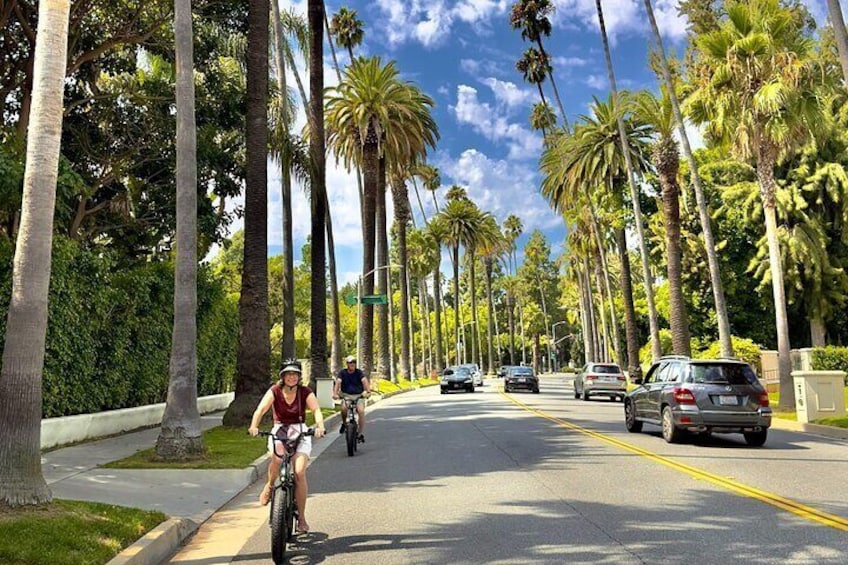 Fun Adventure on Private E-Bike Tour of Los Angeles