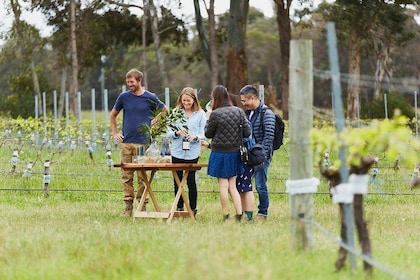 Organic Vineyard/Farm Tour