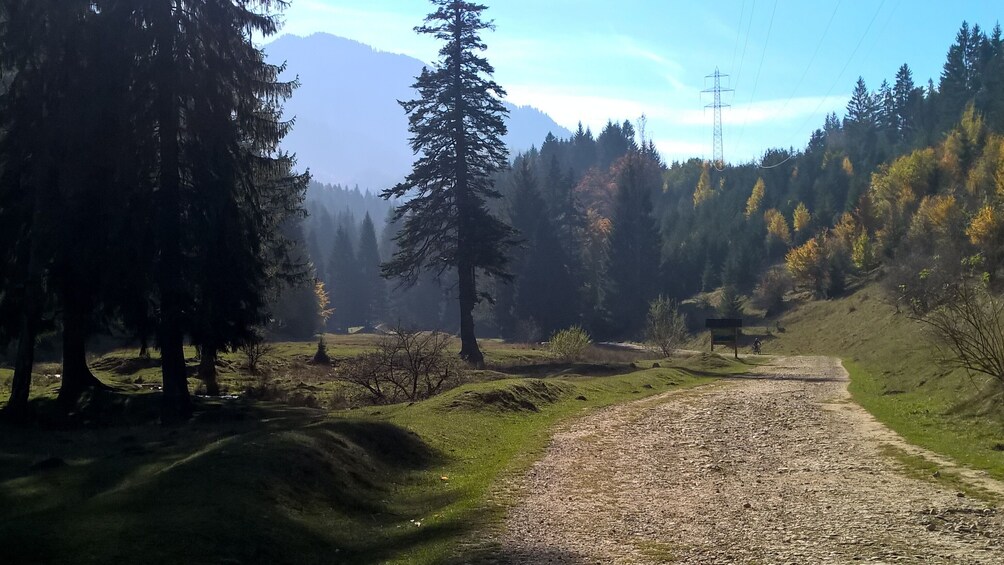 From Brasov: Day trip to the Seven Ladders Canyon