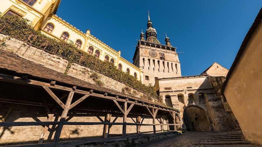 From Brasov: Transylvanian Gypsy culture day trip
