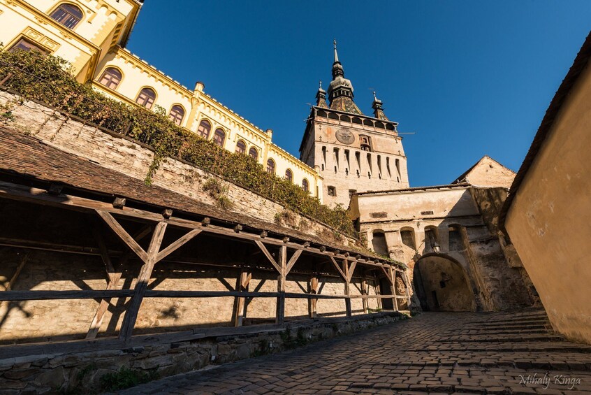 From Brasov: Transylvanian Gypsy culture day trip