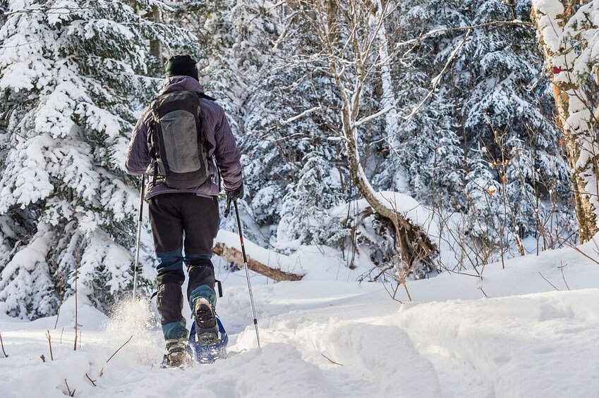 Snowshoeing Tour in Jacques-Cartier National Park 