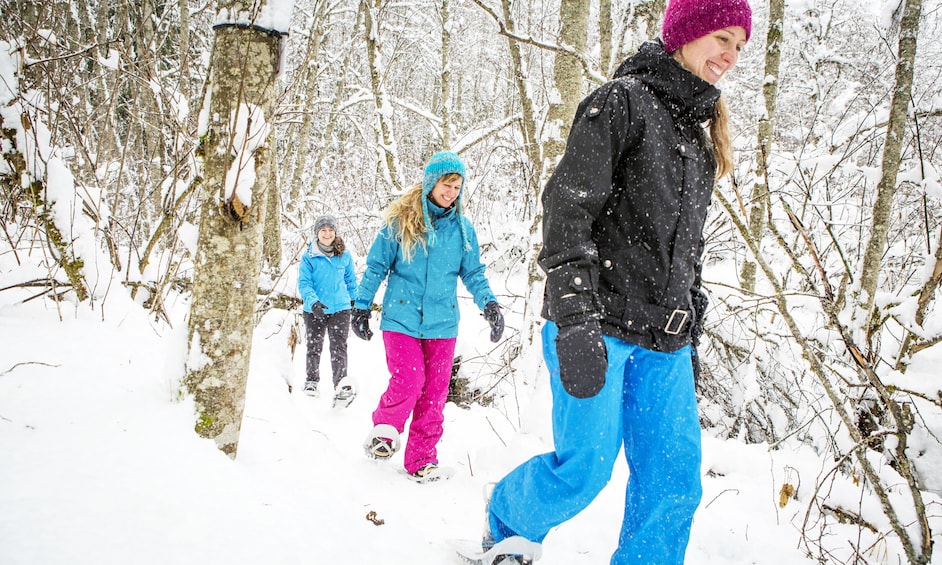 Snowshoeing Tour in Jacques-Cartier National Park