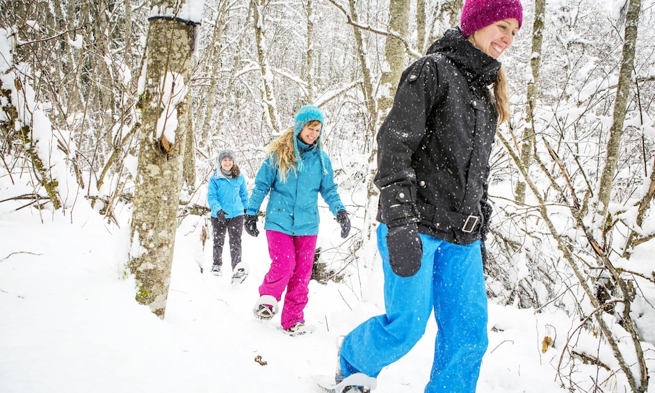 Snowshoeing Tour in Jacques-Cartier National Park 