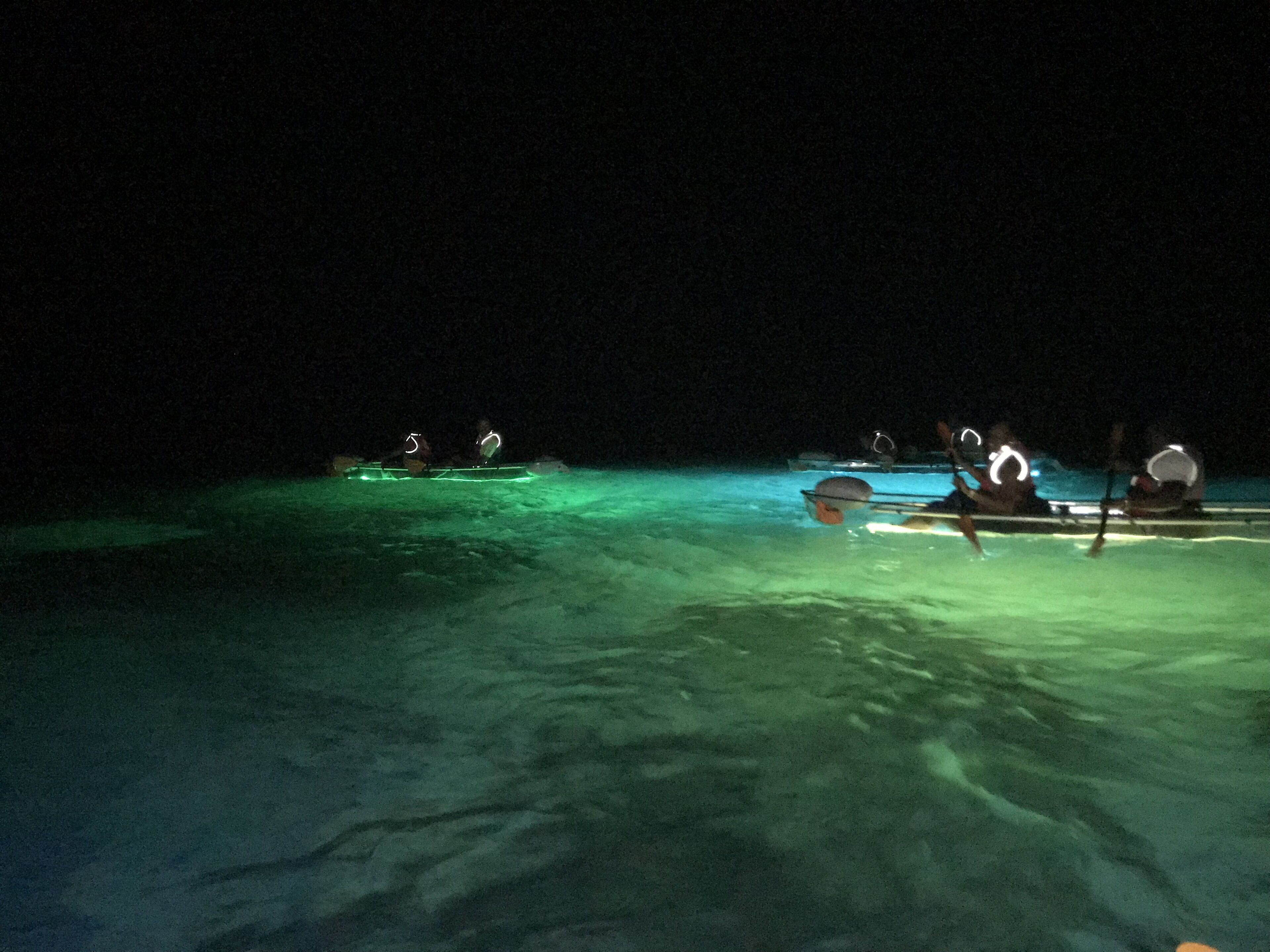 Night Kayaking Tour