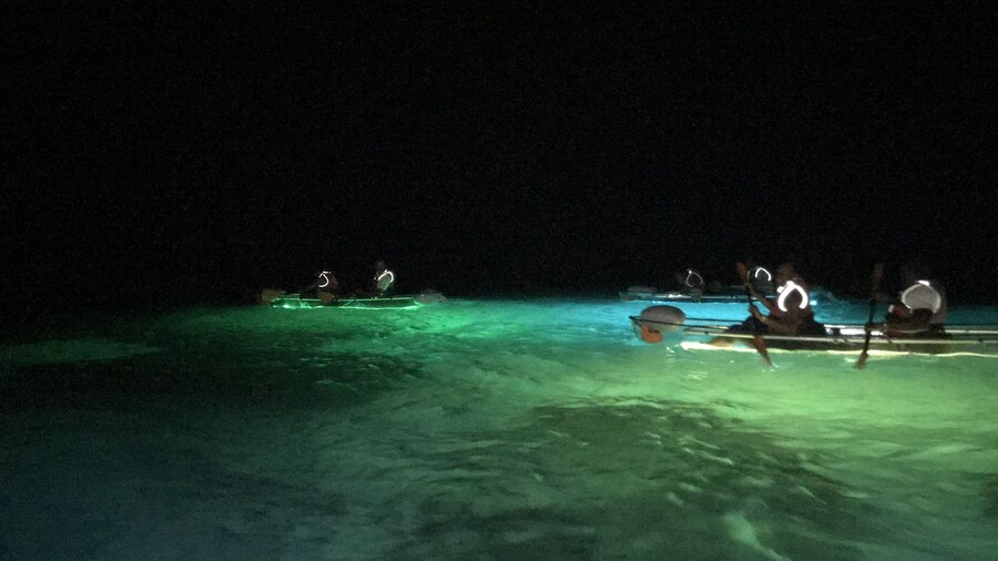 Night Kayaking Tour