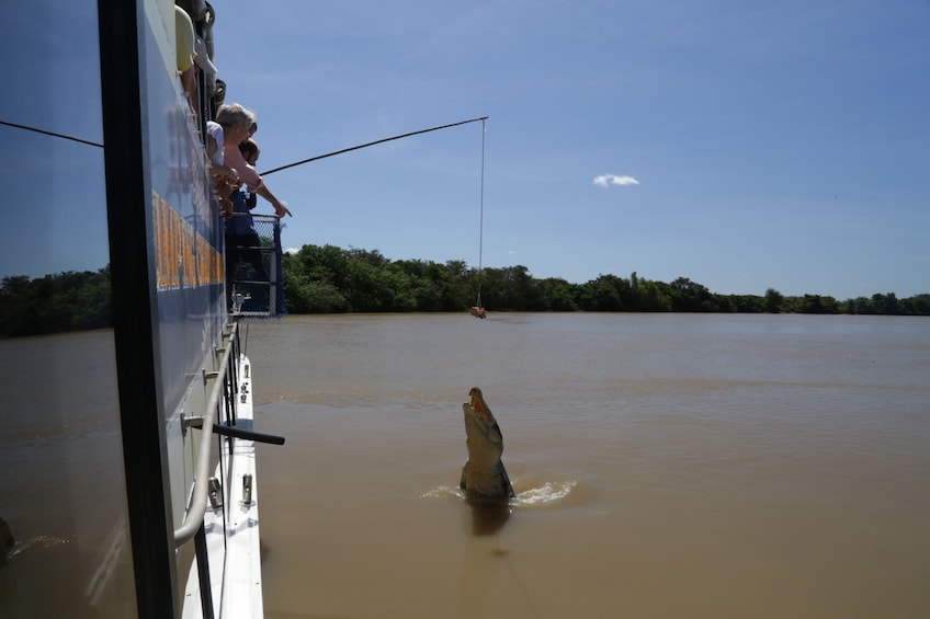 Darwin City Sights and Jumping Crocodile Cruise