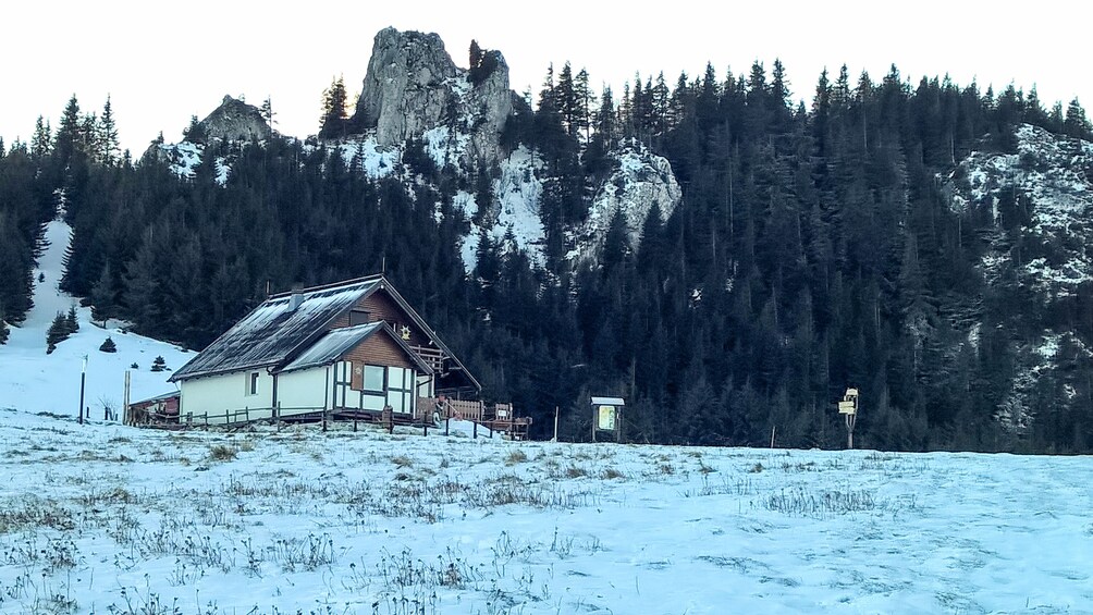 From Brasov: Day Hike to Piatra Mare peak (1954m)