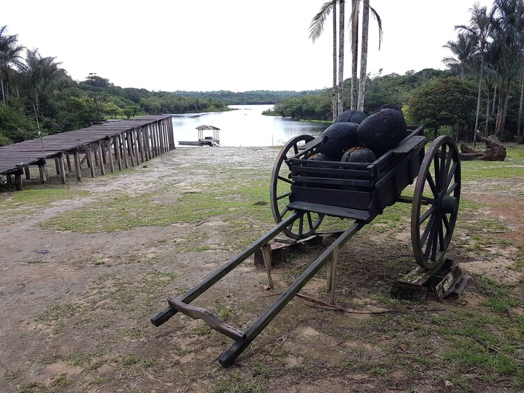 Rubber Museum In The Amazon