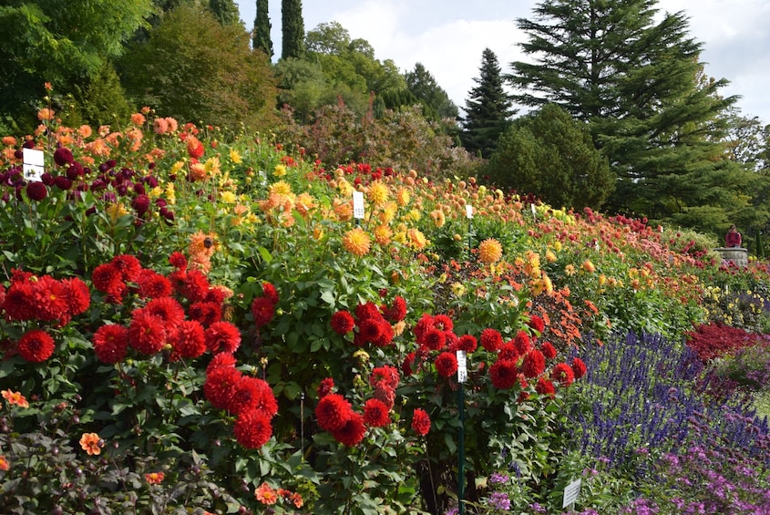  Island of Mainau with Highlights on Lake Constance