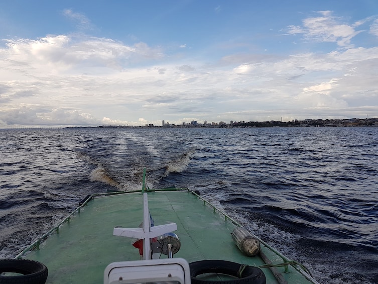 Alligator Watching And Piranhas Fishing In Manaus