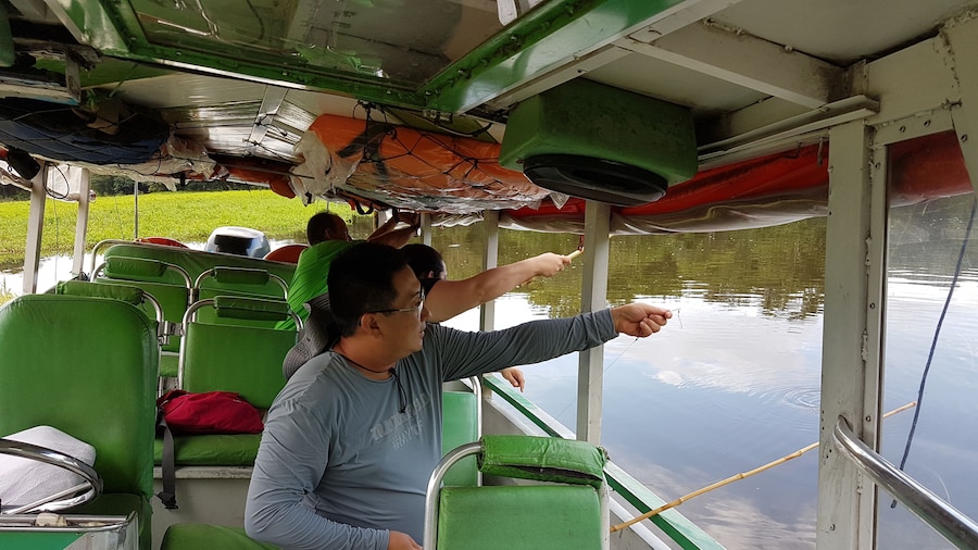 Alligator Watching And Piranhas Fishing In Manaus