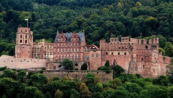 Heidelberg tour with a professional guide (Including Castle)