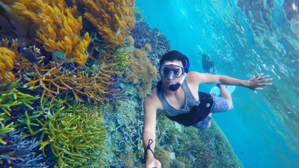 Private Lombok Snorkeling Tour at Gili Kondo and Gili Bidara