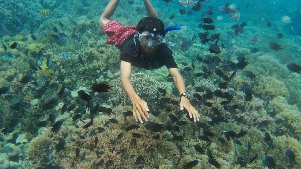 Private Lombok Snorkeling Tour at Gili Kondo and Gili Bidara