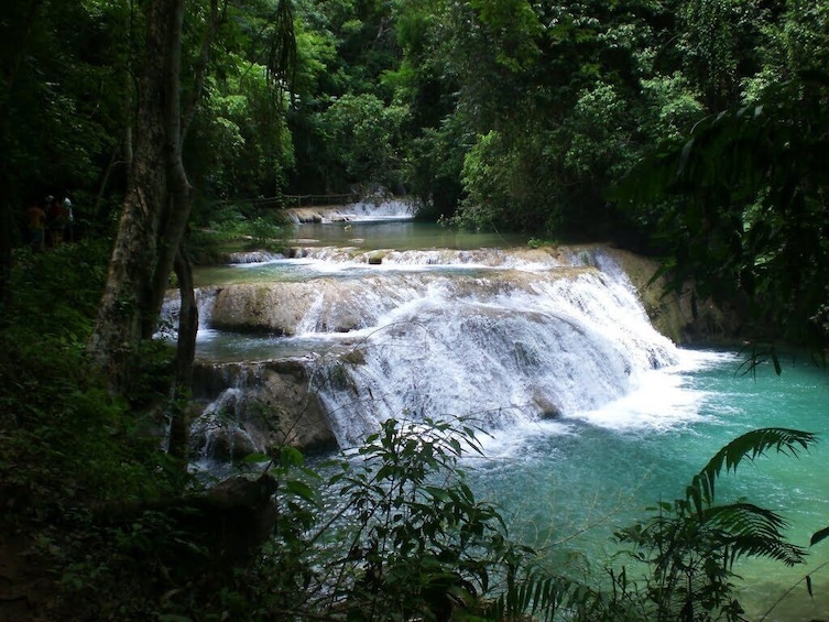 Emerald Falls Canadian Tour & Nature Experience