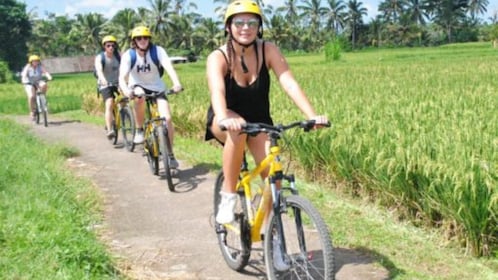 Lombok Cycling Tour : Rice Field, Kerta Gangga Waterfall