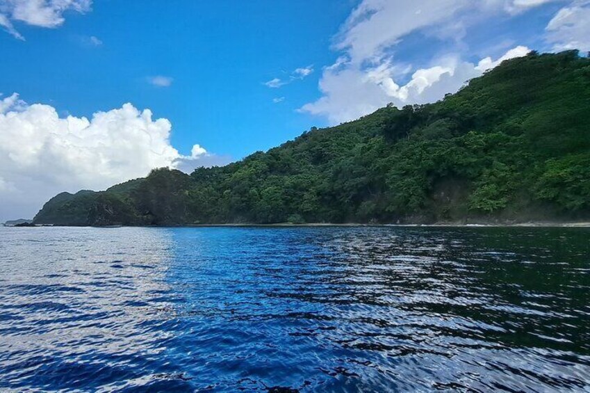 Little Tobago and Bird Sanctuary Daring Experience