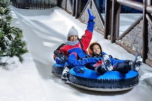 Ski Dubai Tickets with Sharing Transfers