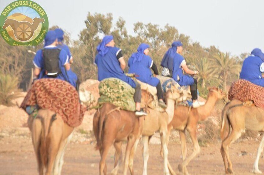 Sunset camel ride and barbecue dinner in Agadir 