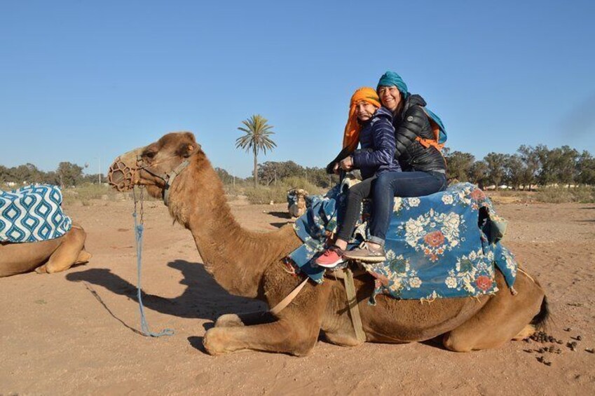 Agadir Camel riding and moroccan couscous dish with Hotel Transfers