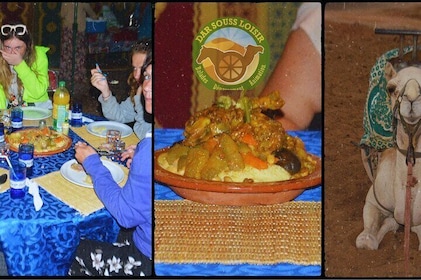 Camel riding in Agadir and couscous dish with Hotel Transfers
