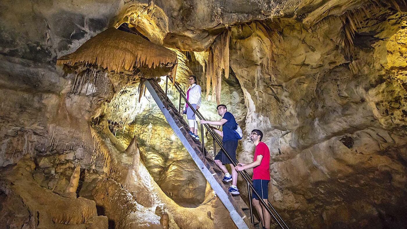 blue mountains jenolan caves tour