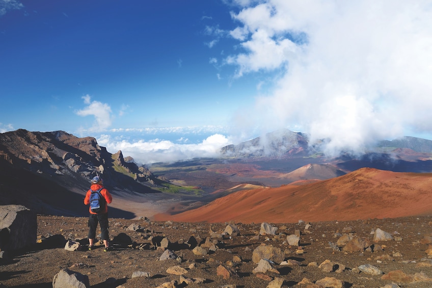 Best of Maui: Haleakala, Central Maui & 'Iao Valley Tour