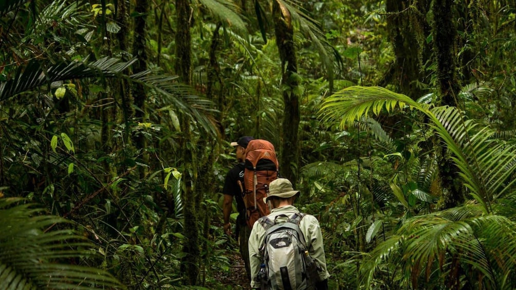 Tangkoko National Park Wildlife Exploration Private Tour