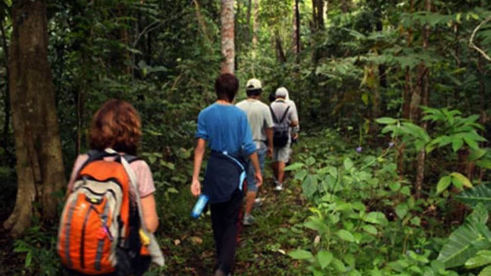 Tangkoko National Park Wildlife Exploration Private Tour