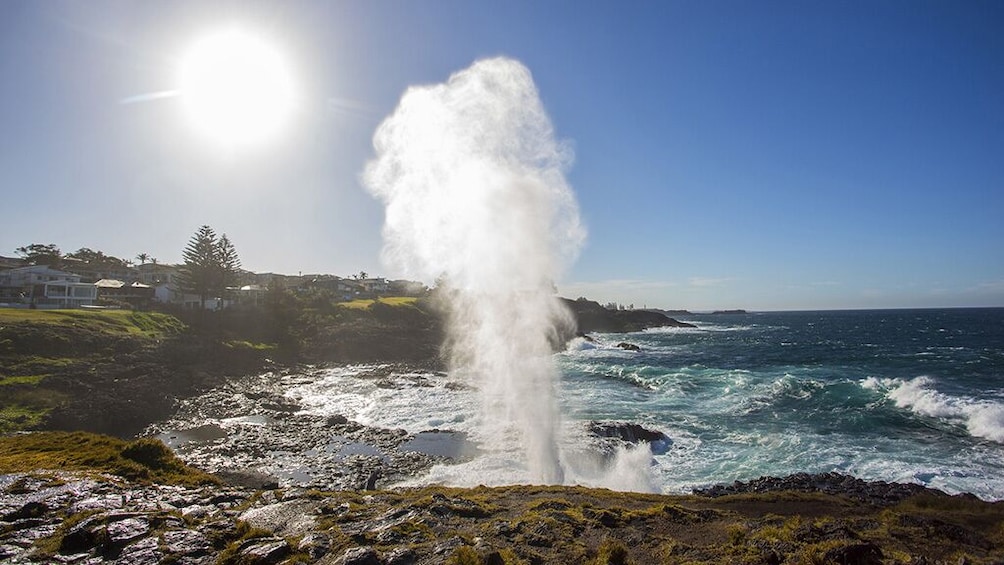 Grand Pacific Drive & Kiama Blowhole Tour (Guide+Transport)