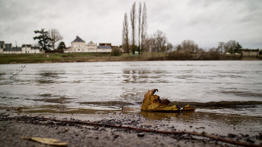 Walking Photography Tour of Amboise conducted in English