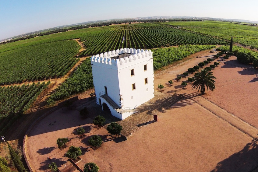 Show item 1 of 4. Full Day Evora - with wine tasting Private tour from Lisbon