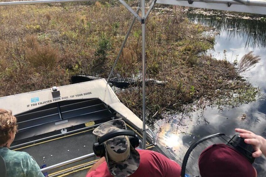 1 Hour Everglades Airboat Tour Central Florida