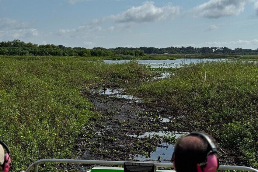 1 Hour Everglades Airboat Tour Central Florida