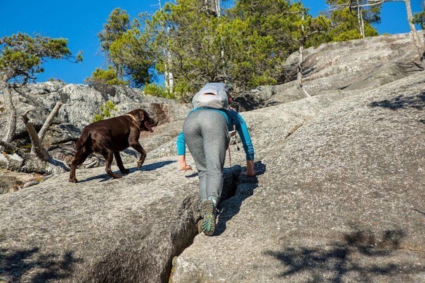 Stawamus Chief Hike & Local Brewery Tasting 