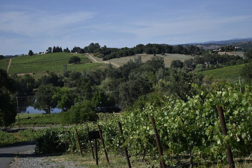 Sonoma And Napa Wine Tour Private Tours 4 to 10 Hours max 14 pax