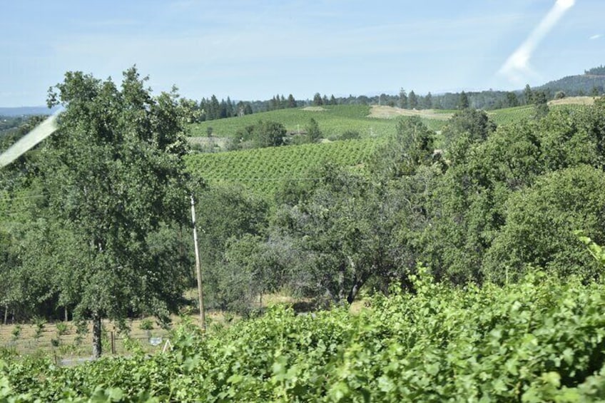 Sonoma And Napa Wine Tour Private Tours 4 to 10 Hours max 14 pax