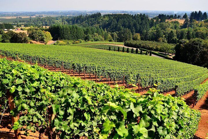 wine tasting tours amador county