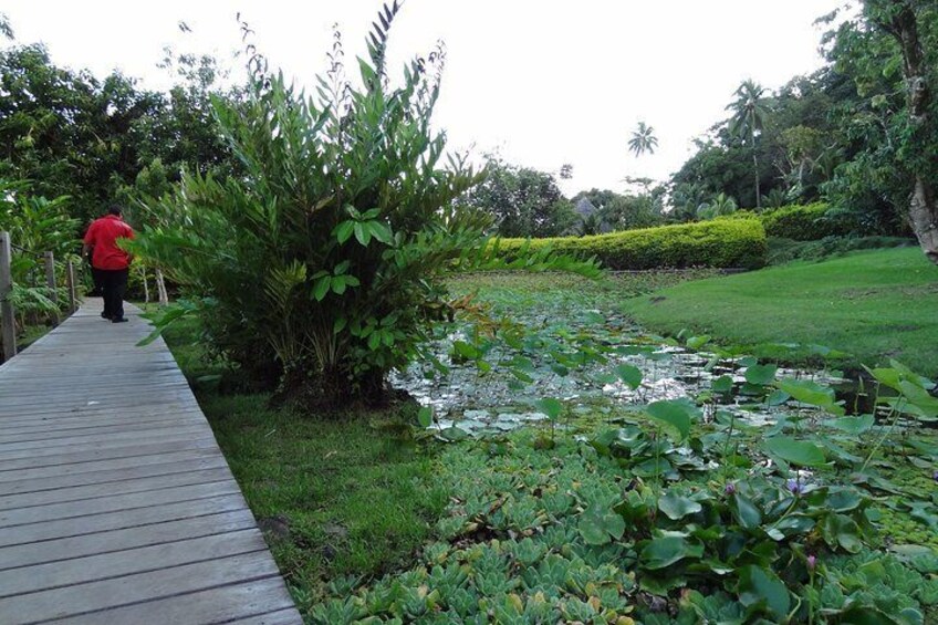 Vaipahi Garden