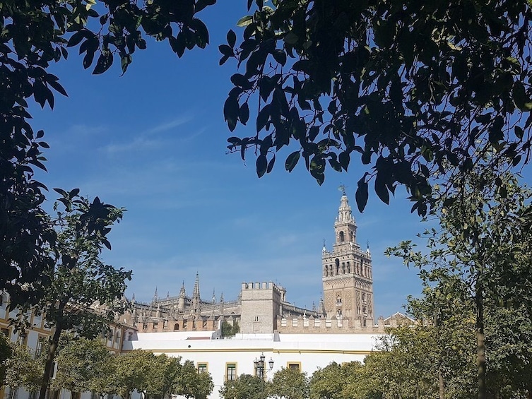 Seville Cathedral Guided Tour(Skip-The-Line Ticket Included)