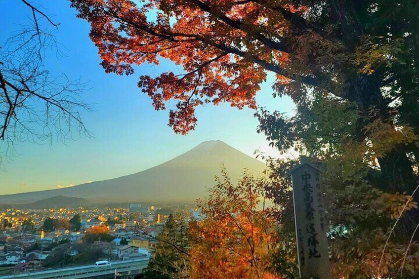 Private Sightseeing to Mt. Fuji and Hakone GREEN NUMBER PLATES