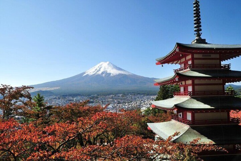 Private Sightseeing to Mt Fuji and Hakone guide