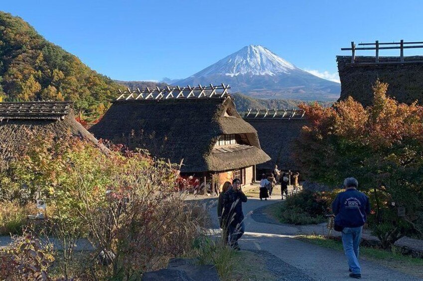 Private Full Day Sightseeing Tour to Mount Fuji and Hakone