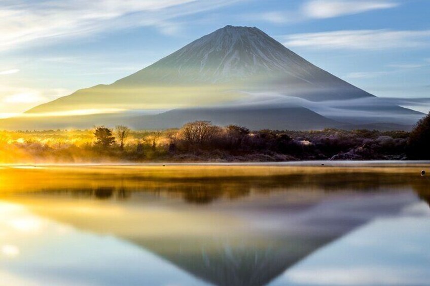 Private Sightseeing to Mt Fuji and Hakone guide