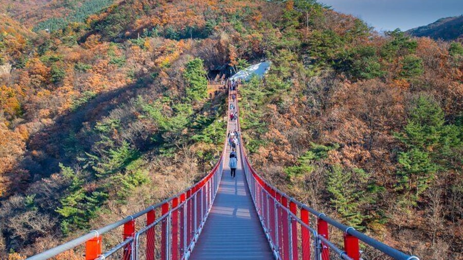 Full Day DMZ with Red Suspension Bridge Tour from Seoul